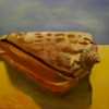 'Shell' Acrylic on canvas 607 cm. No longer available